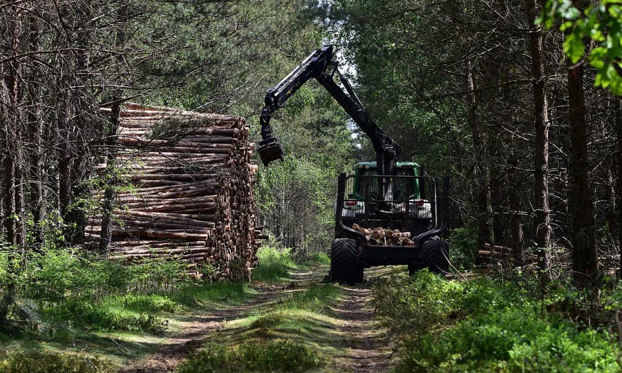 mittia skogstransport