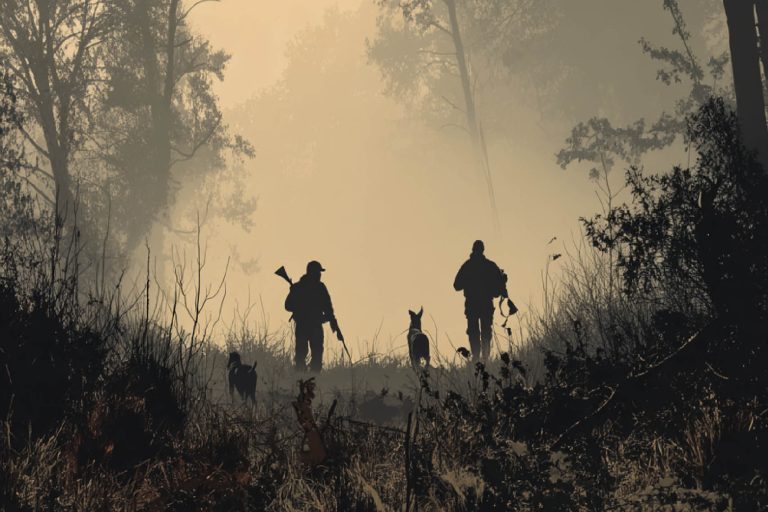 elmia game fair